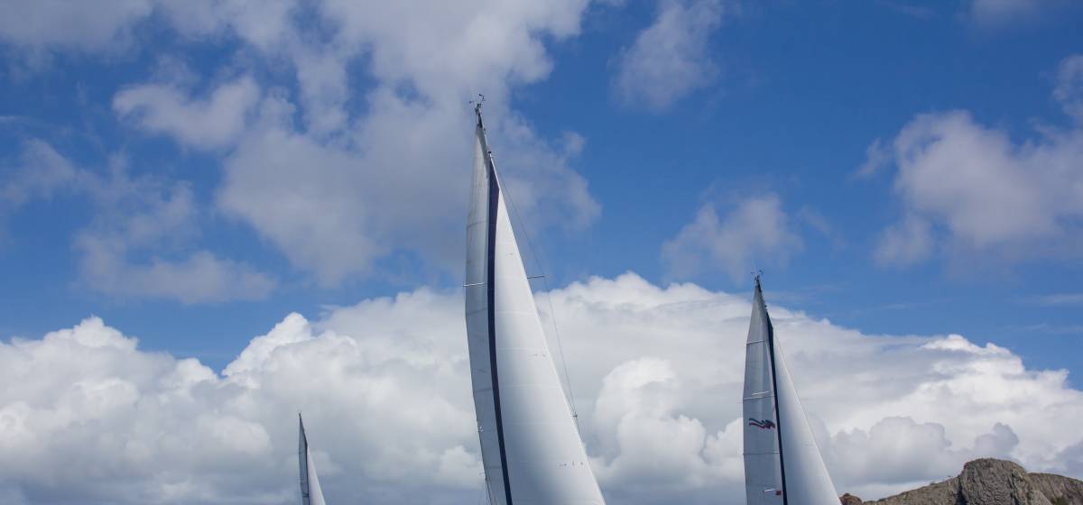 Sailing Regatta