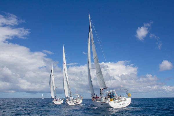 Sailing Regatta