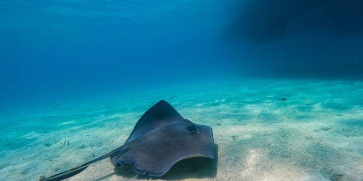 Abacos Sailing Itinerary