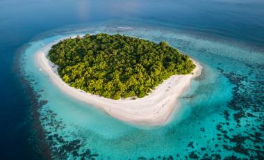 Blue Marine Foundation