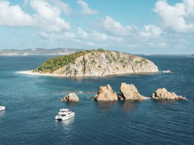 BVI.