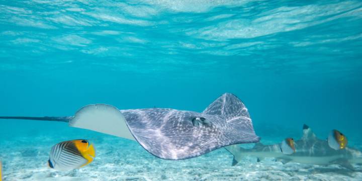 Tahiti Sailing Itinerary