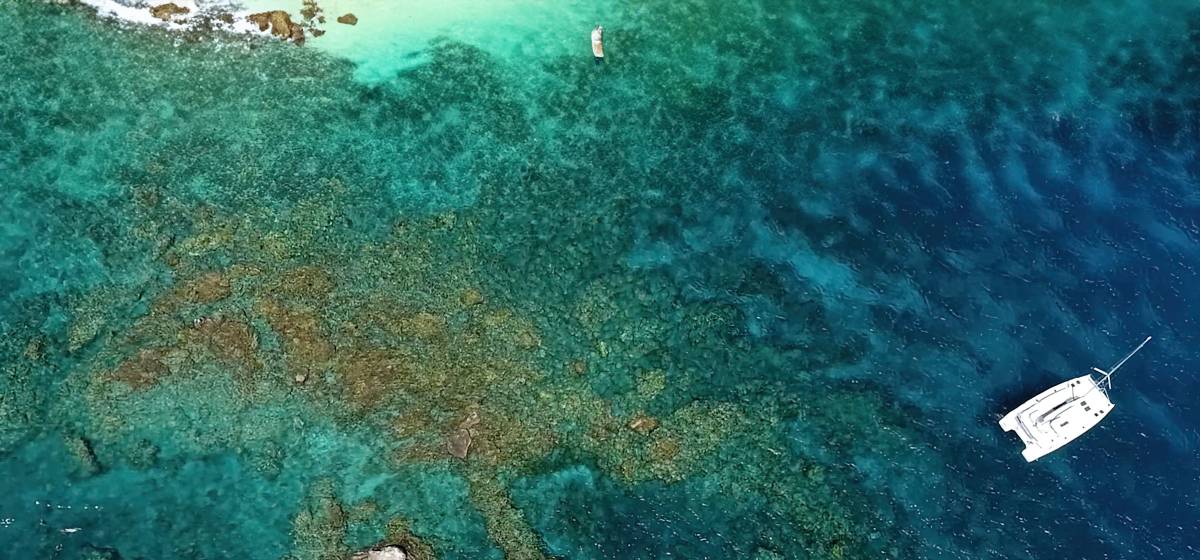 What’s New in the British Virgin Islands